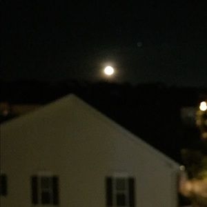 Meet your Posher, Koko